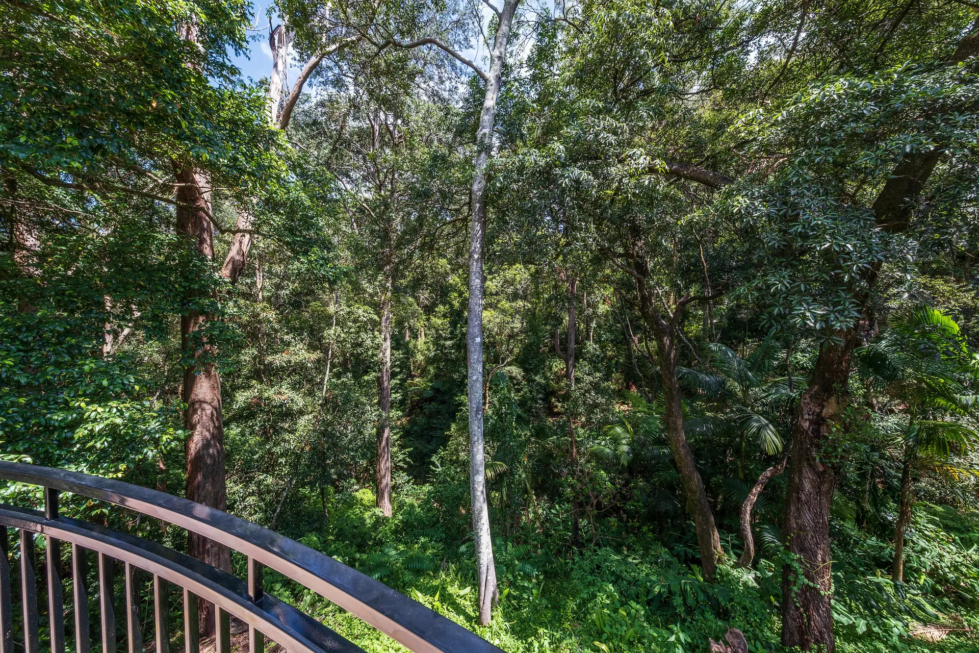 96 Centennial Avenue, Chatswood Sold by Chan Yahl - image 25