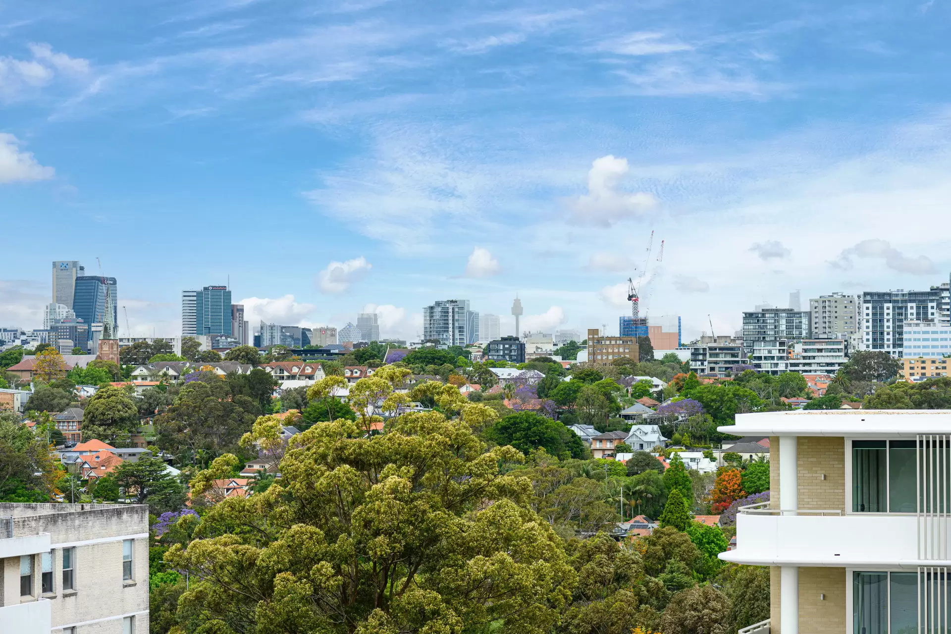 503/1 Scott Street, Willoughby Sold by Chan Yahl - image 8