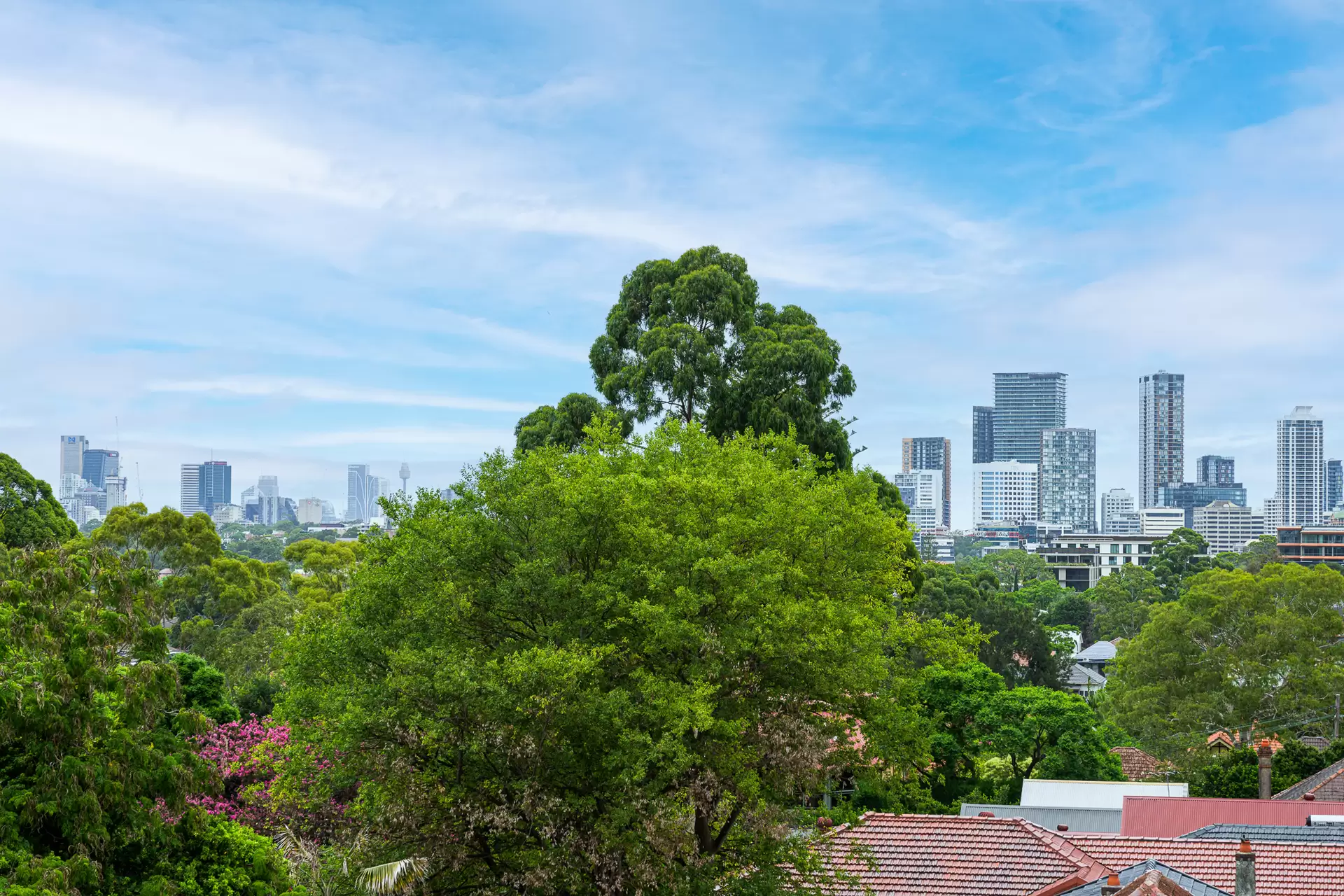 A117/150 Mowbray Road, Willoughby Sold by Chan Yahl - image 12