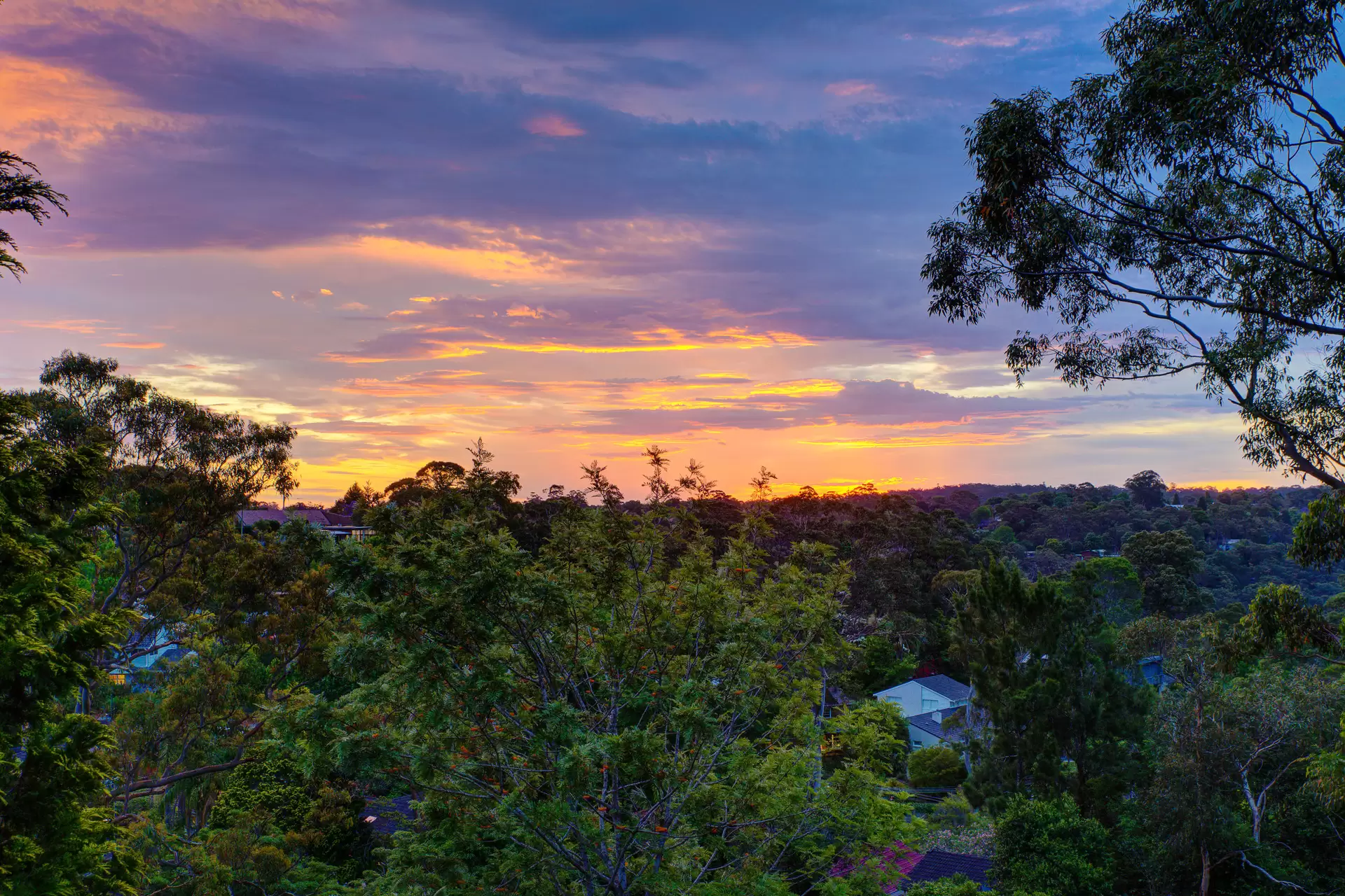 10 Robina Street, St Ives Sold by Chan Yahl - image 17