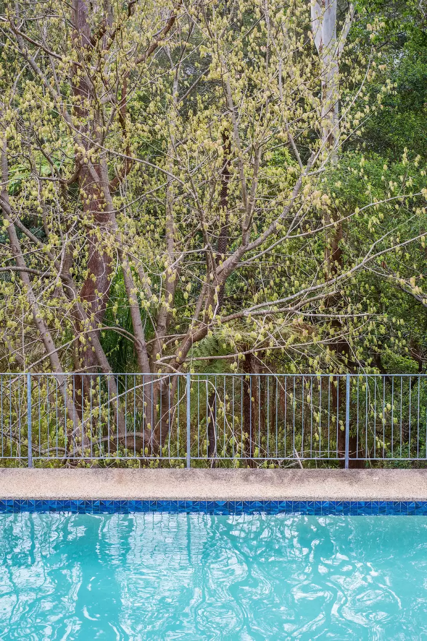 74 Rosebery Road, Killara Sold by Chan Yahl - image 21