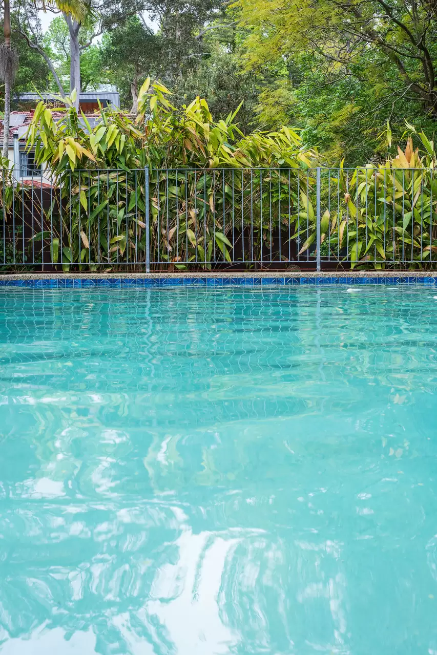 74 Rosebery Road, Killara Sold by Chan Yahl - image 24