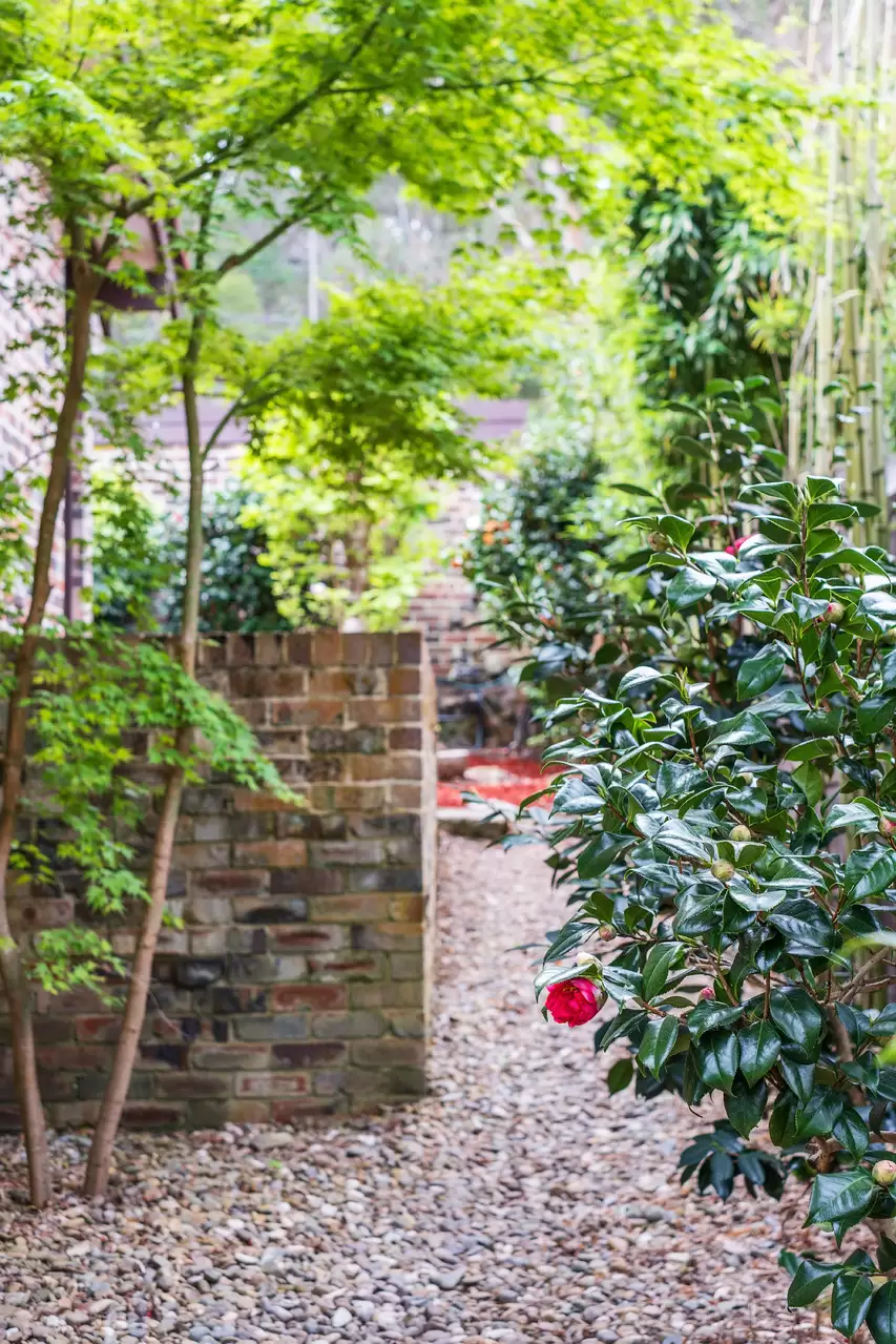 74 Rosebery Road, Killara Sold by Chan Yahl - image 23