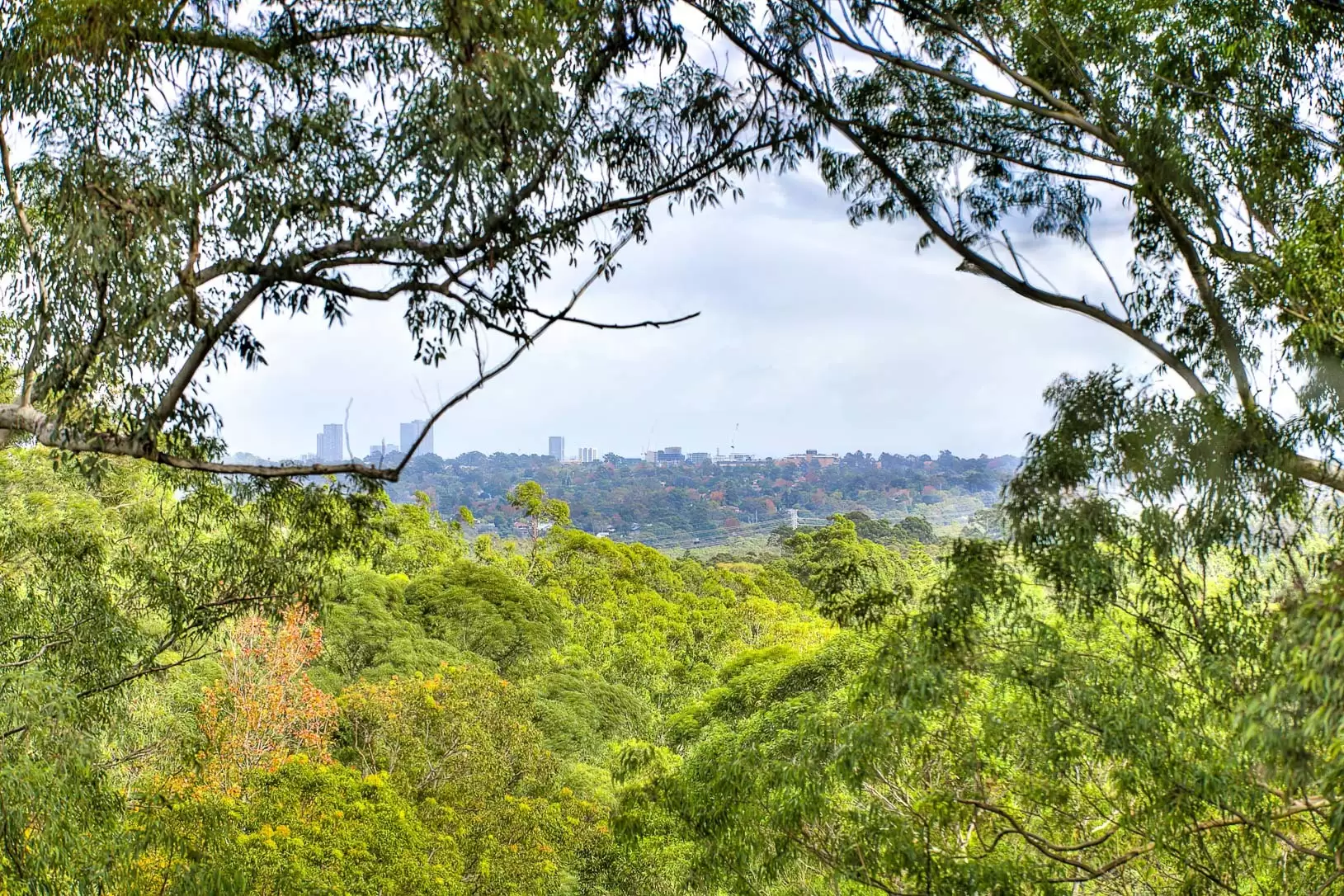 30/5-15 Lamond Drive, Turramurra Sold by Chan Yahl - image 8