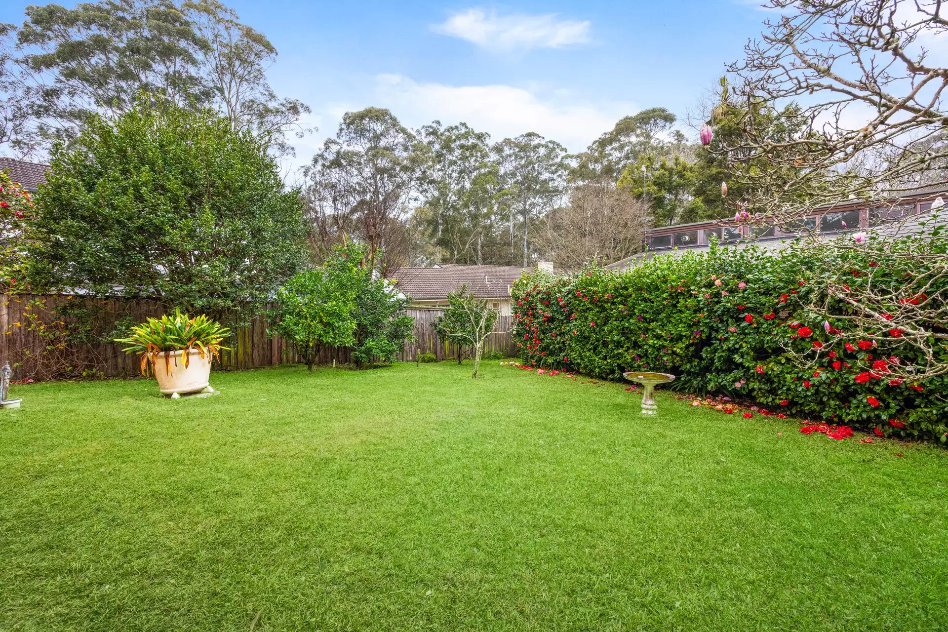 100 Pentecost Avenue, Pymble Sold by Chan Yahl - image 5