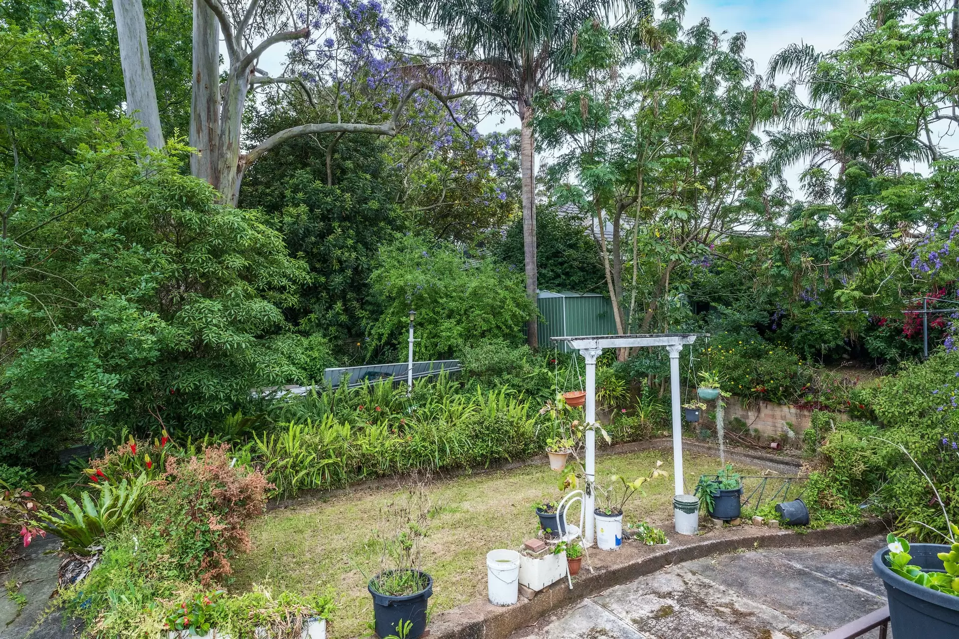 3 Amesbury Avenue, St Ives Sold by Chan Yahl - image 4