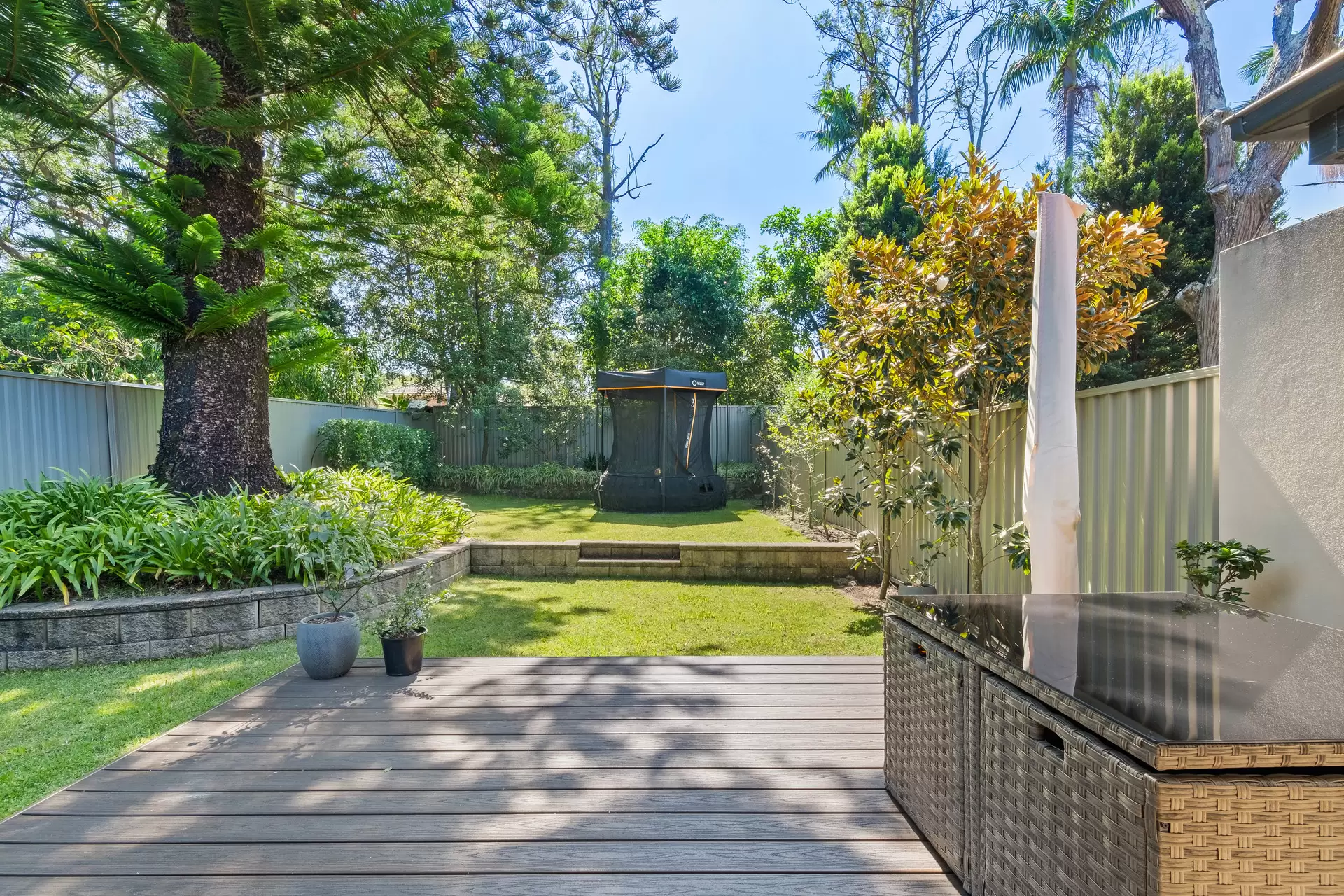 105 Boundary Street, Roseville For Sale by Chan Yahl - image 5