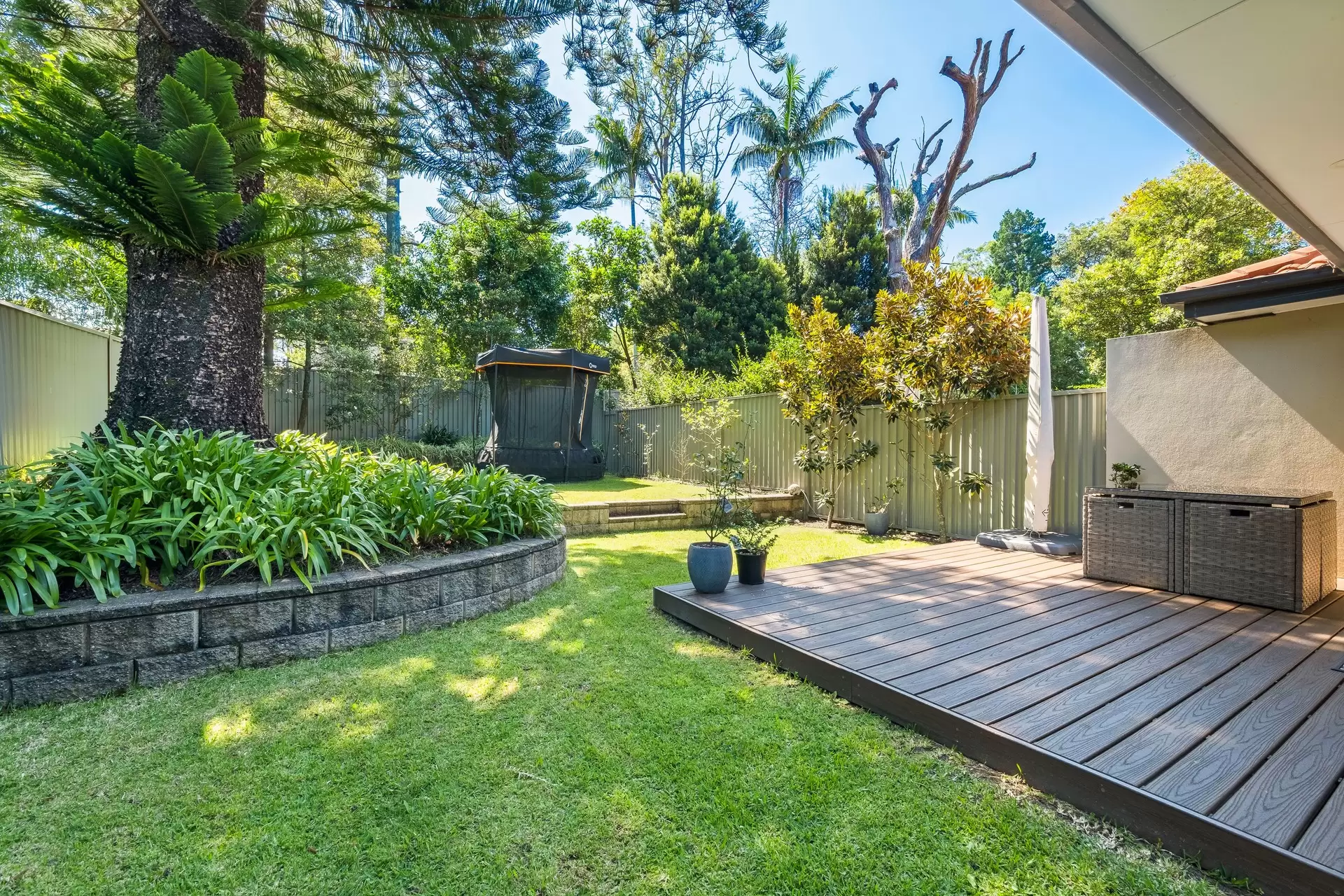 105 Boundary Street, Roseville For Sale by Chan Yahl - image 6
