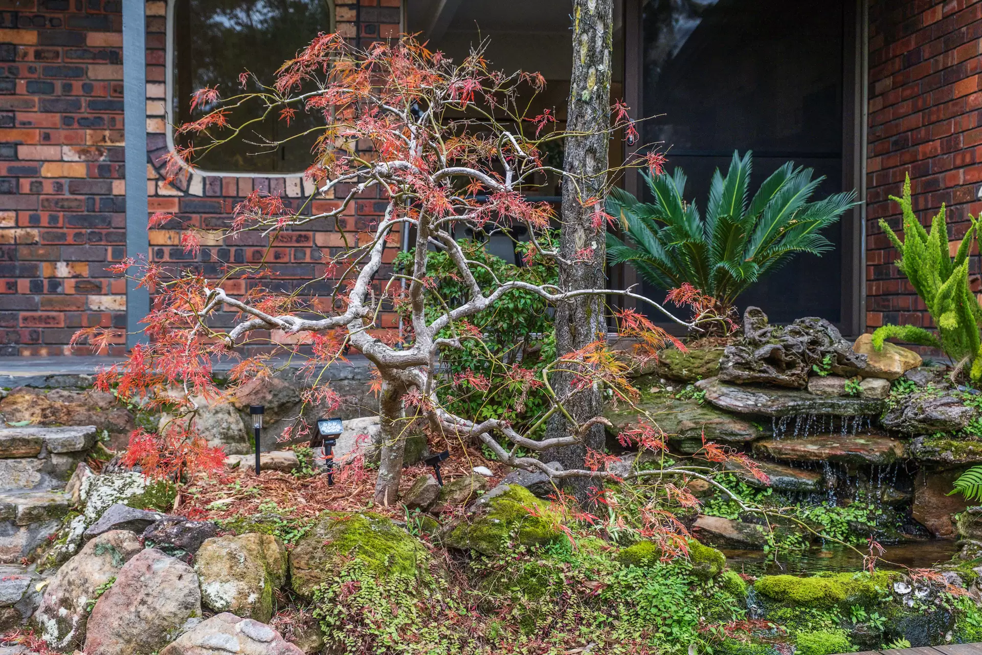 115 St Johns Avenue, Gordon Auction by Chan Yahl - image 34