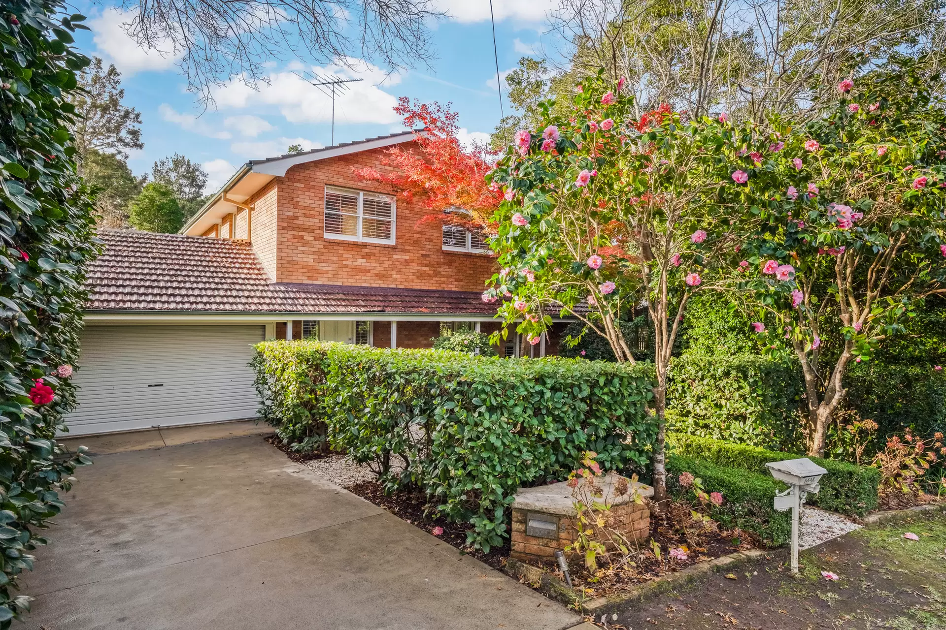 36 The Chase Road, Turramurra Auction by Chan Yahl - image 22