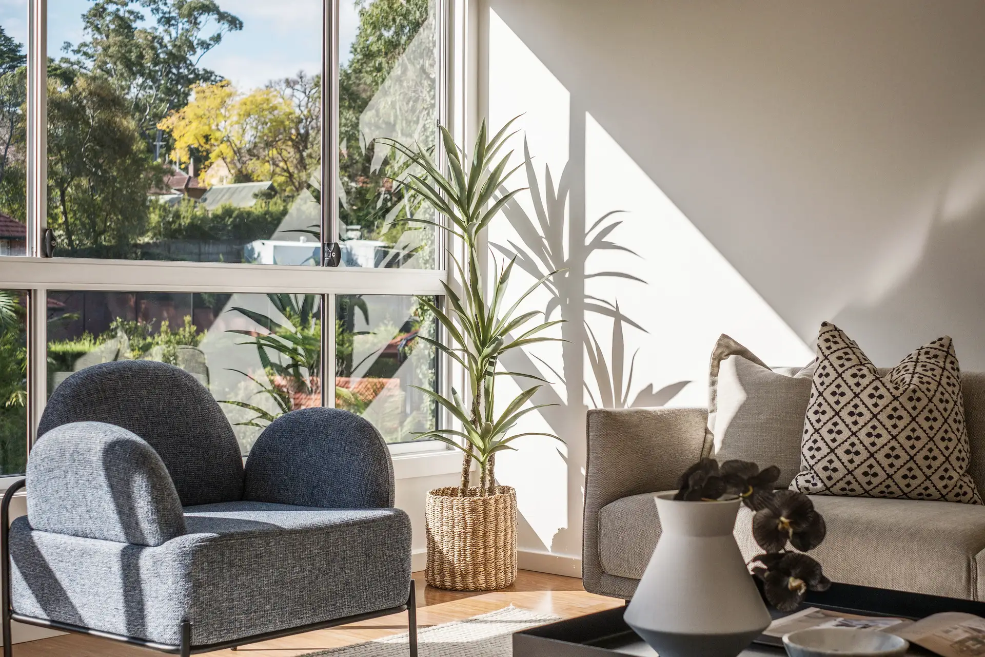 6 Carlotta Avenue, Gordon Sold by Chan Yahl - image 5