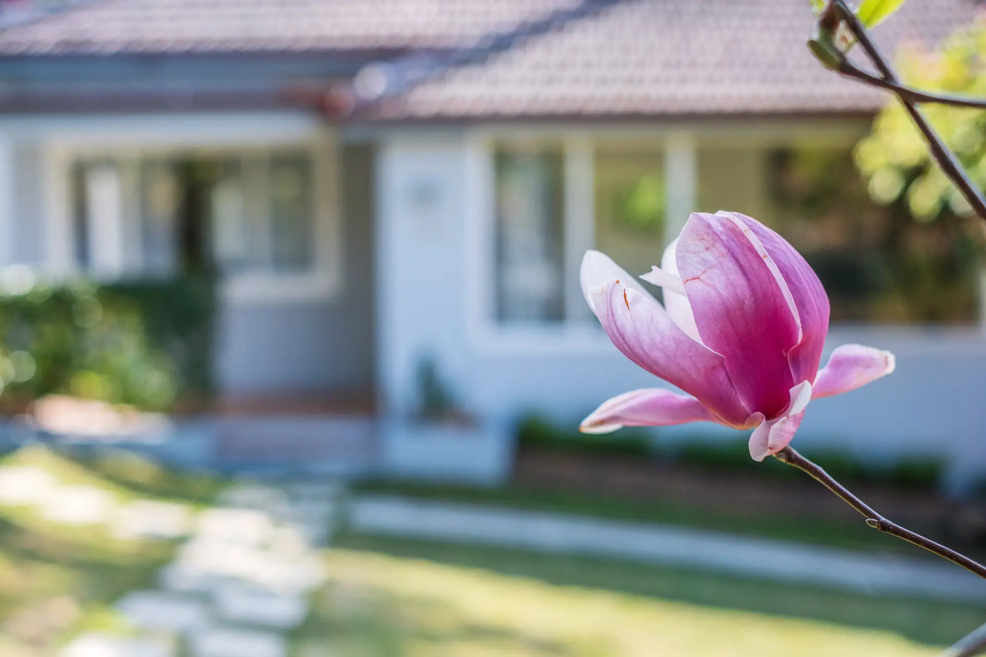 6 Carlotta Avenue, Gordon Sold by Chan Yahl - image 17