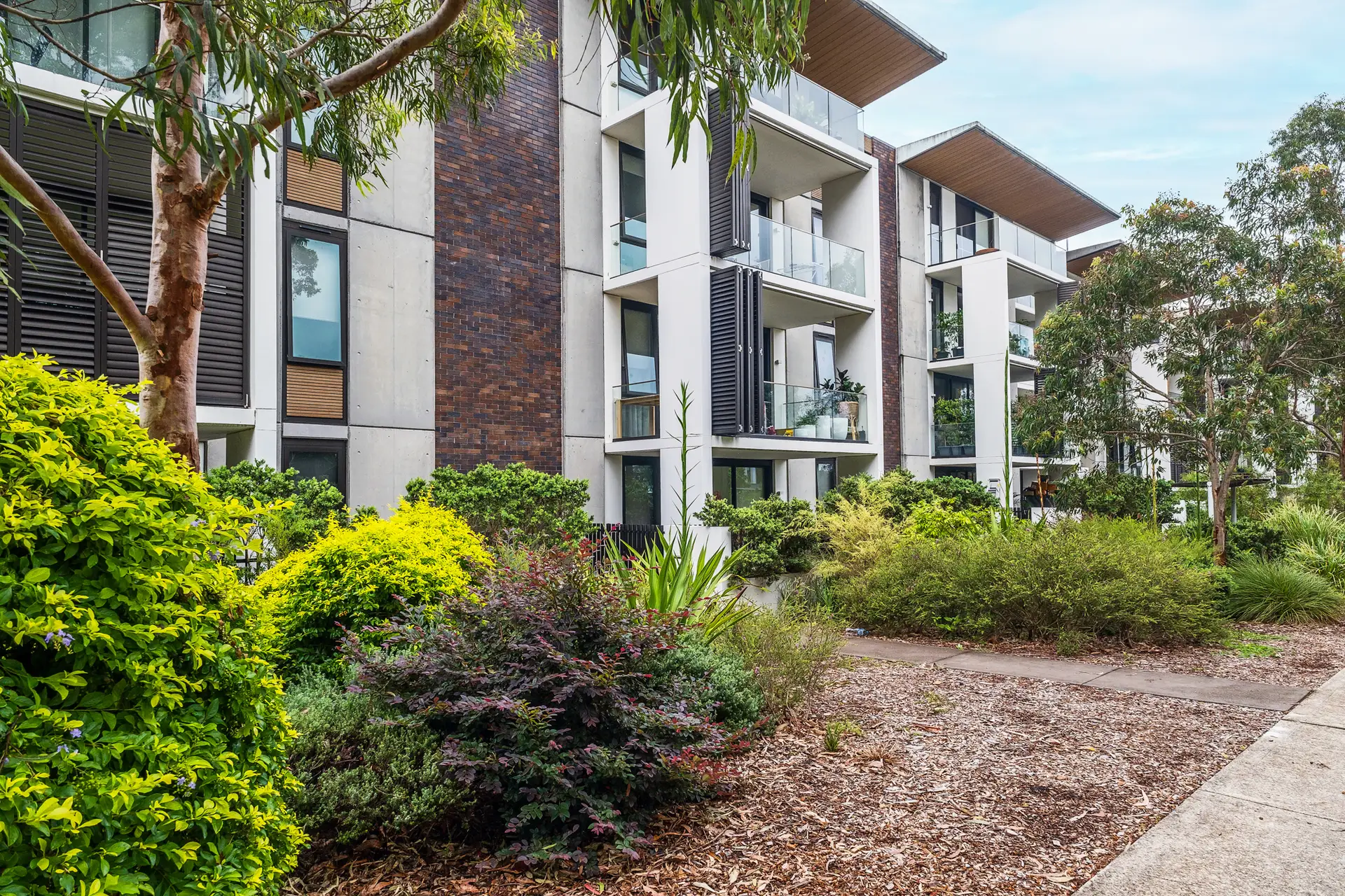 11/8 Shout Ridge, Lindfield Sold by Chan Yahl - image 16