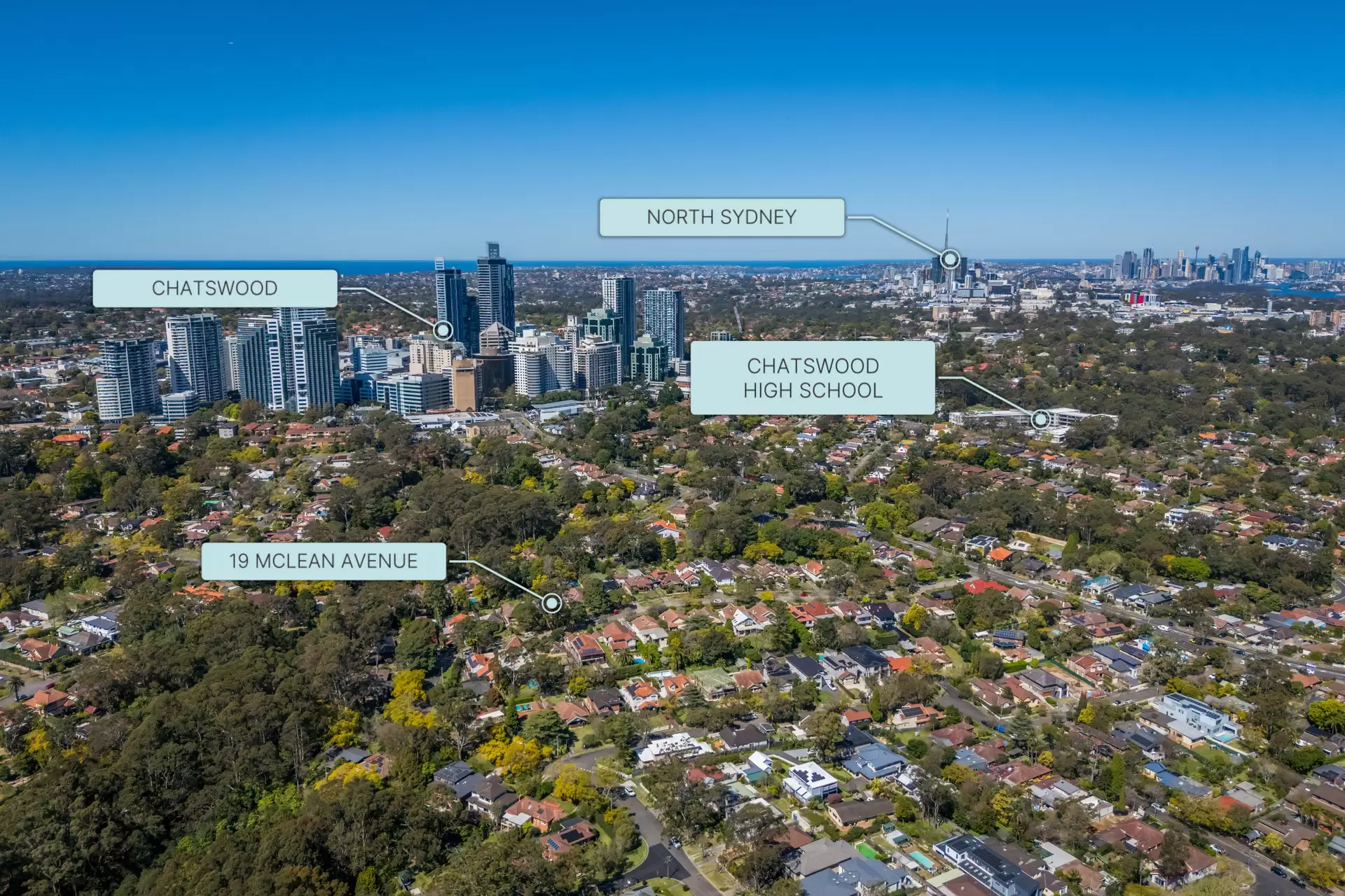 19 McLean Avenue, Chatswood Sold by Chan Yahl - image 16