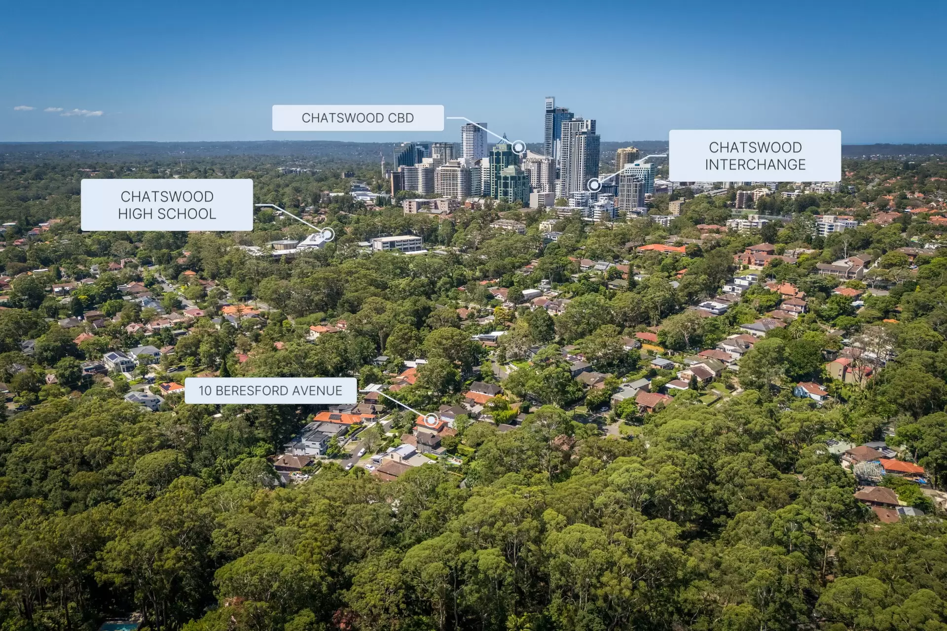 10 Beresford Avenue, Chatswood For Sale by Chan Yahl - image 32