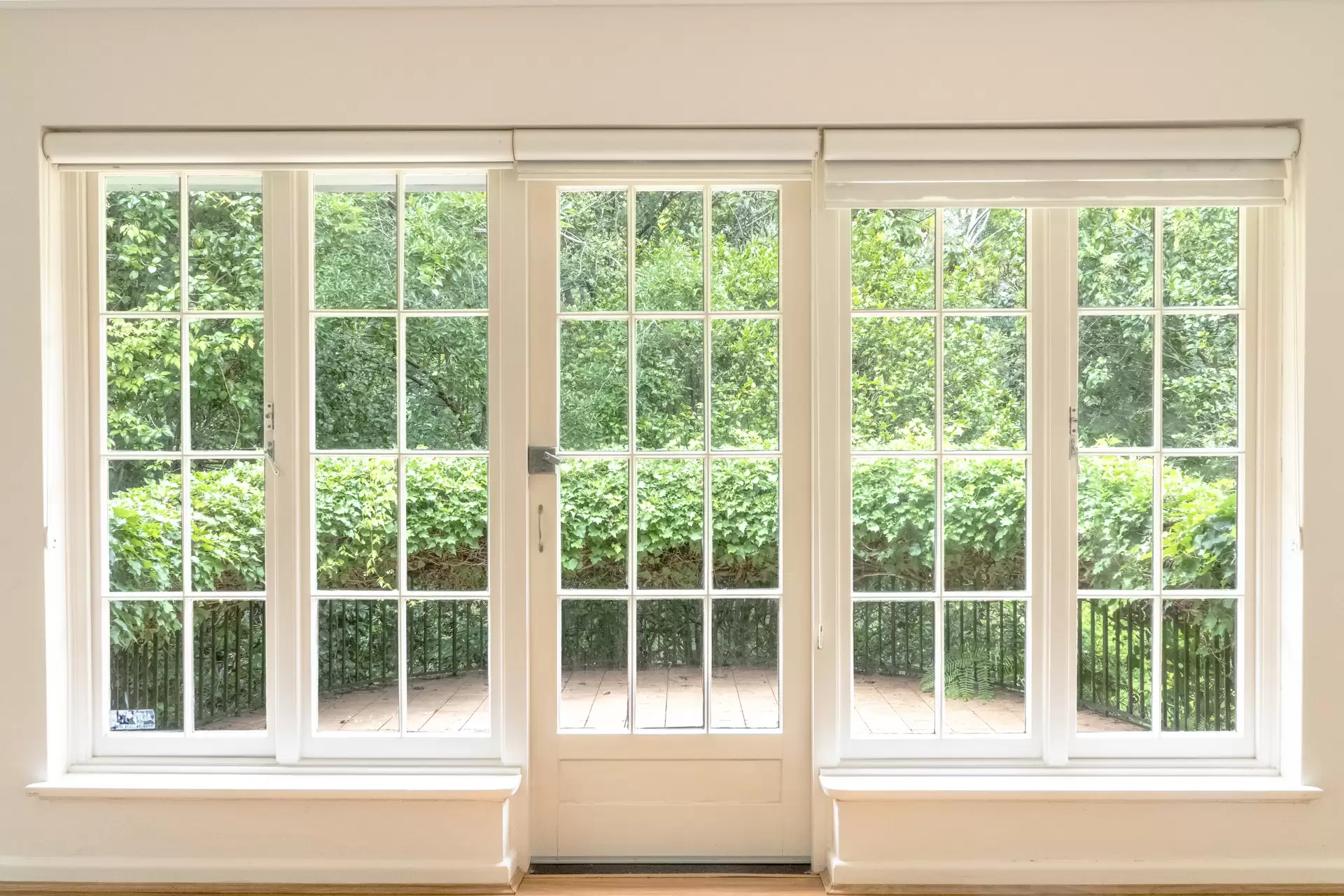 96 Pentecost Avenue, Pymble For Lease by Chan Yahl - image 2