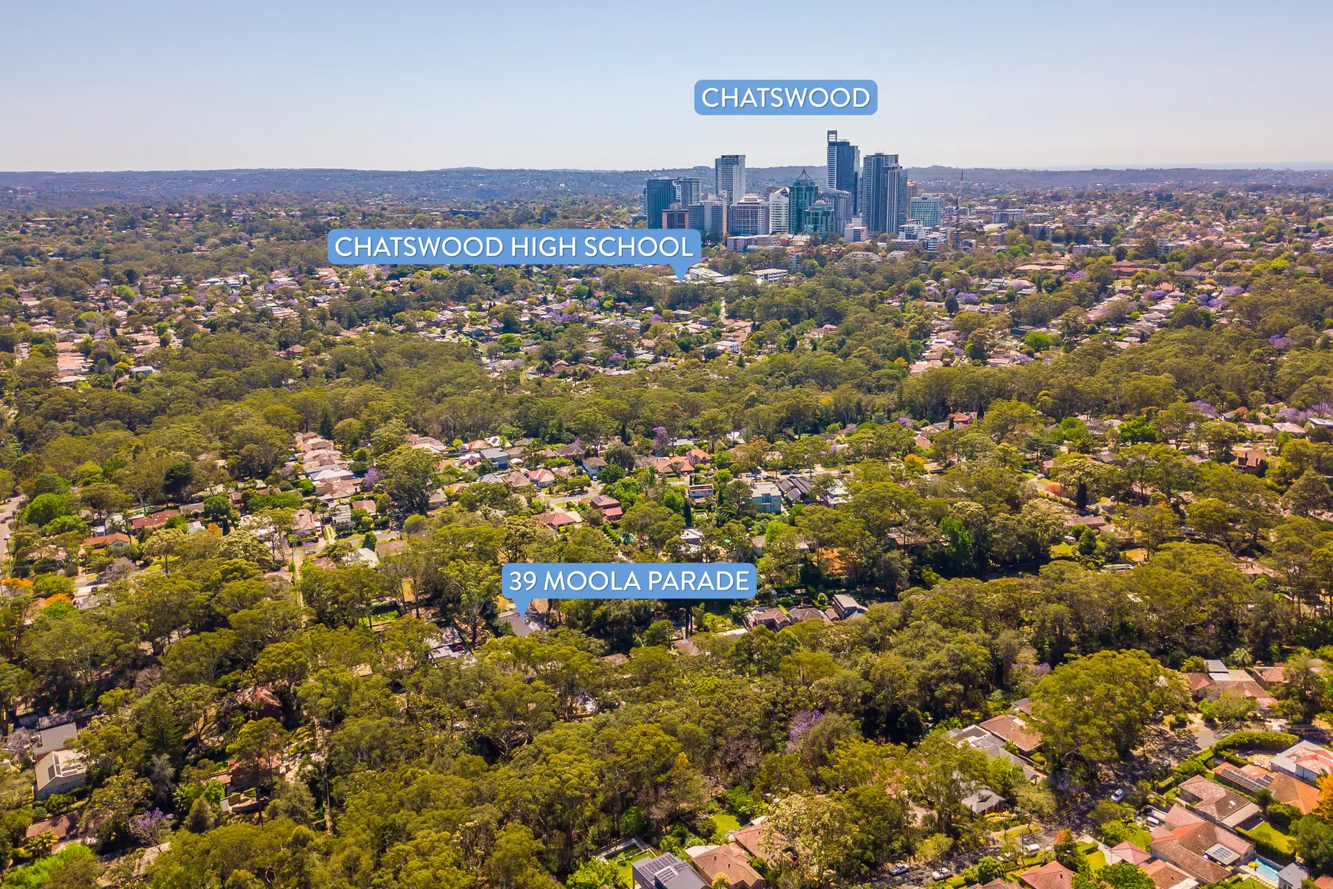 39 Moola Parade, Chatswood Sold by Chan Yahl - image 28