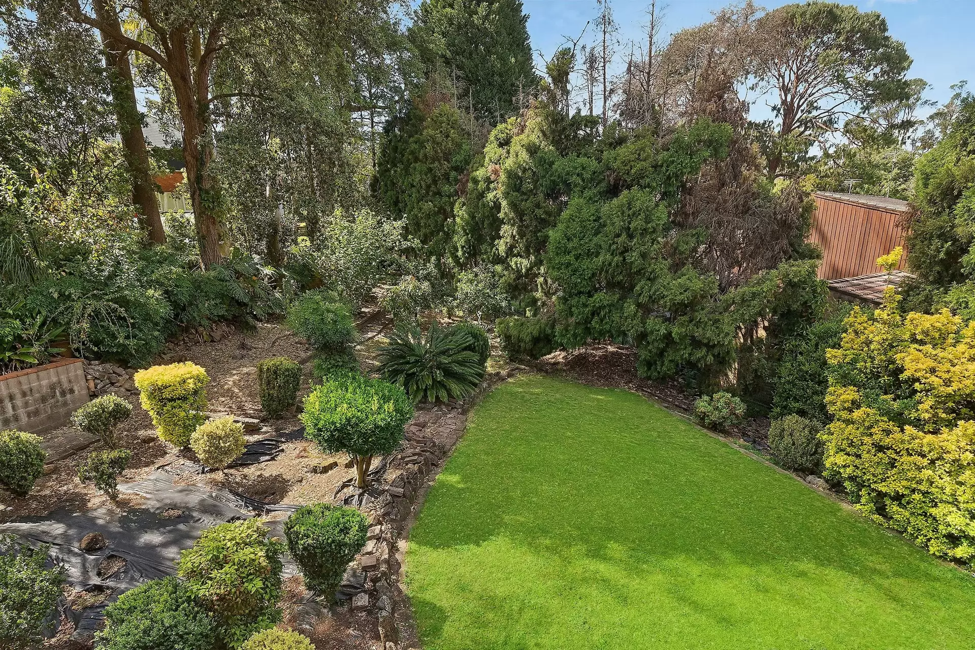 17 Parkwood Grove, West Pymble Auction by Chan Yahl - image 4