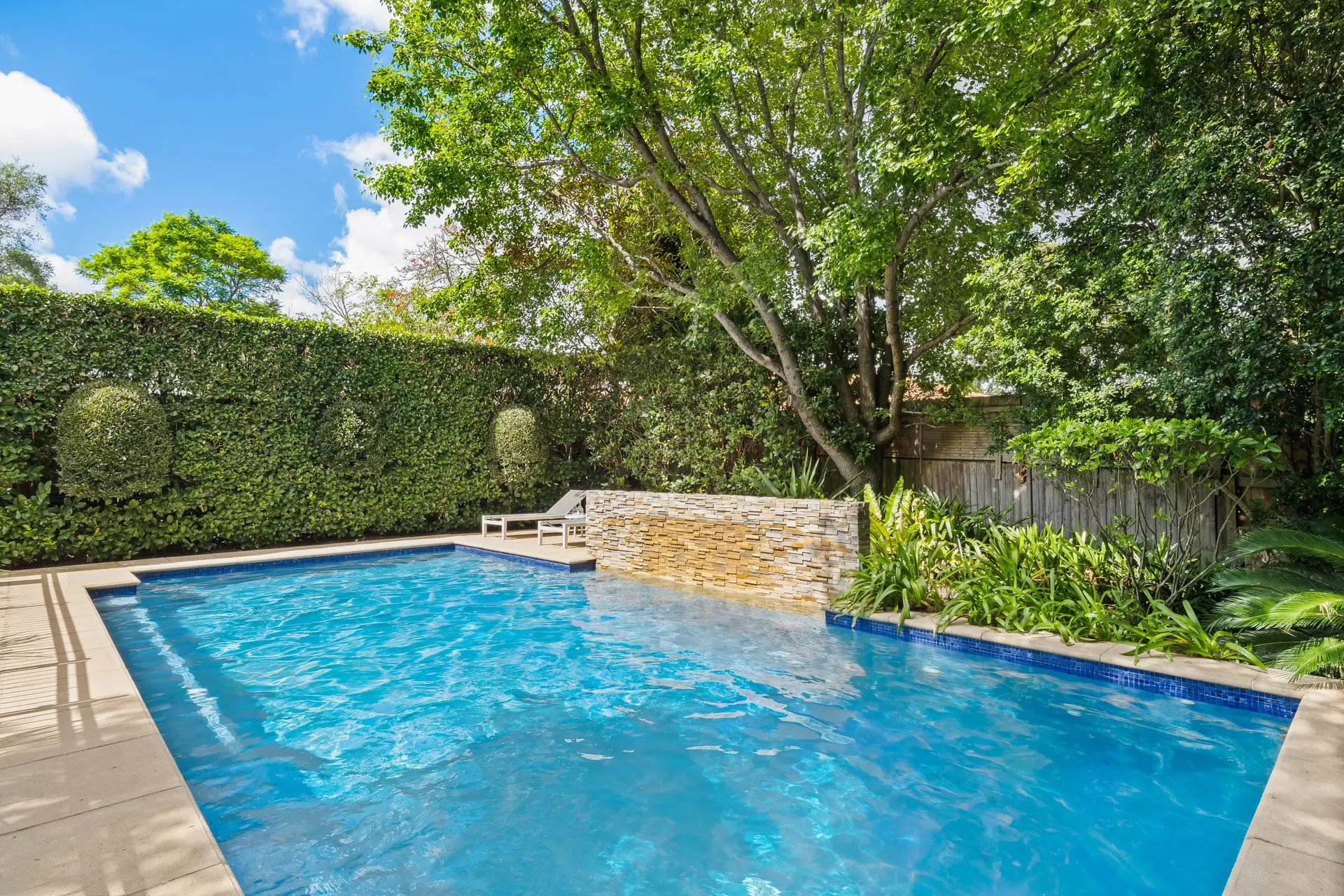 101 Bent Street, Lindfield Sold by Chan Yahl - image 16