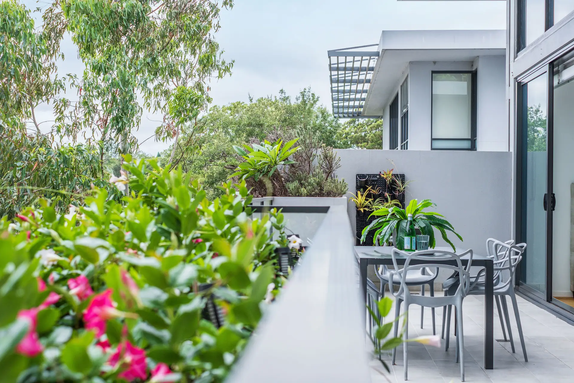 38/12 Park Avenue, Waitara Sold by Chan Yahl - image 14