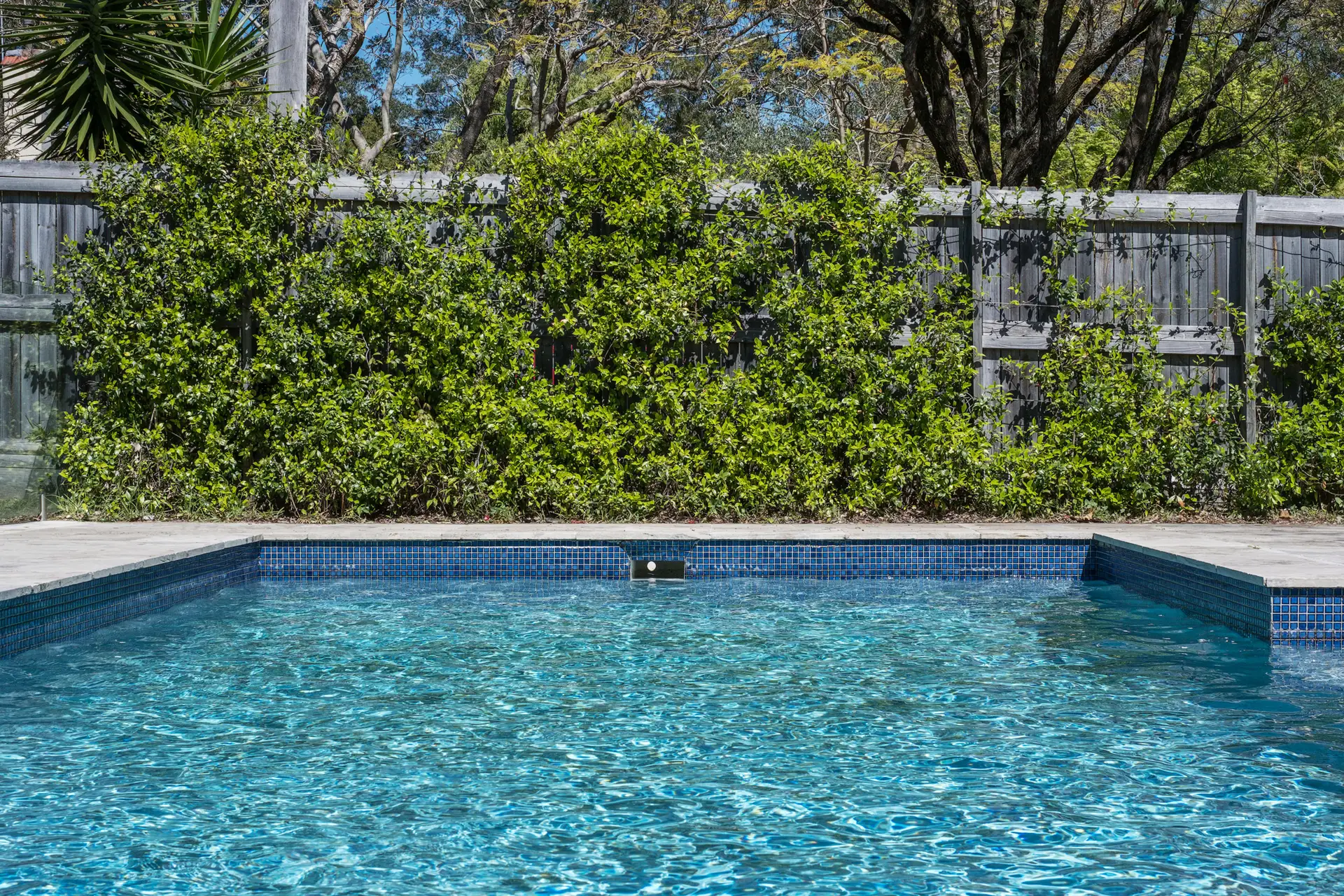 119 Livingstone Avenue, Pymble Sold by Chan Yahl - image 16