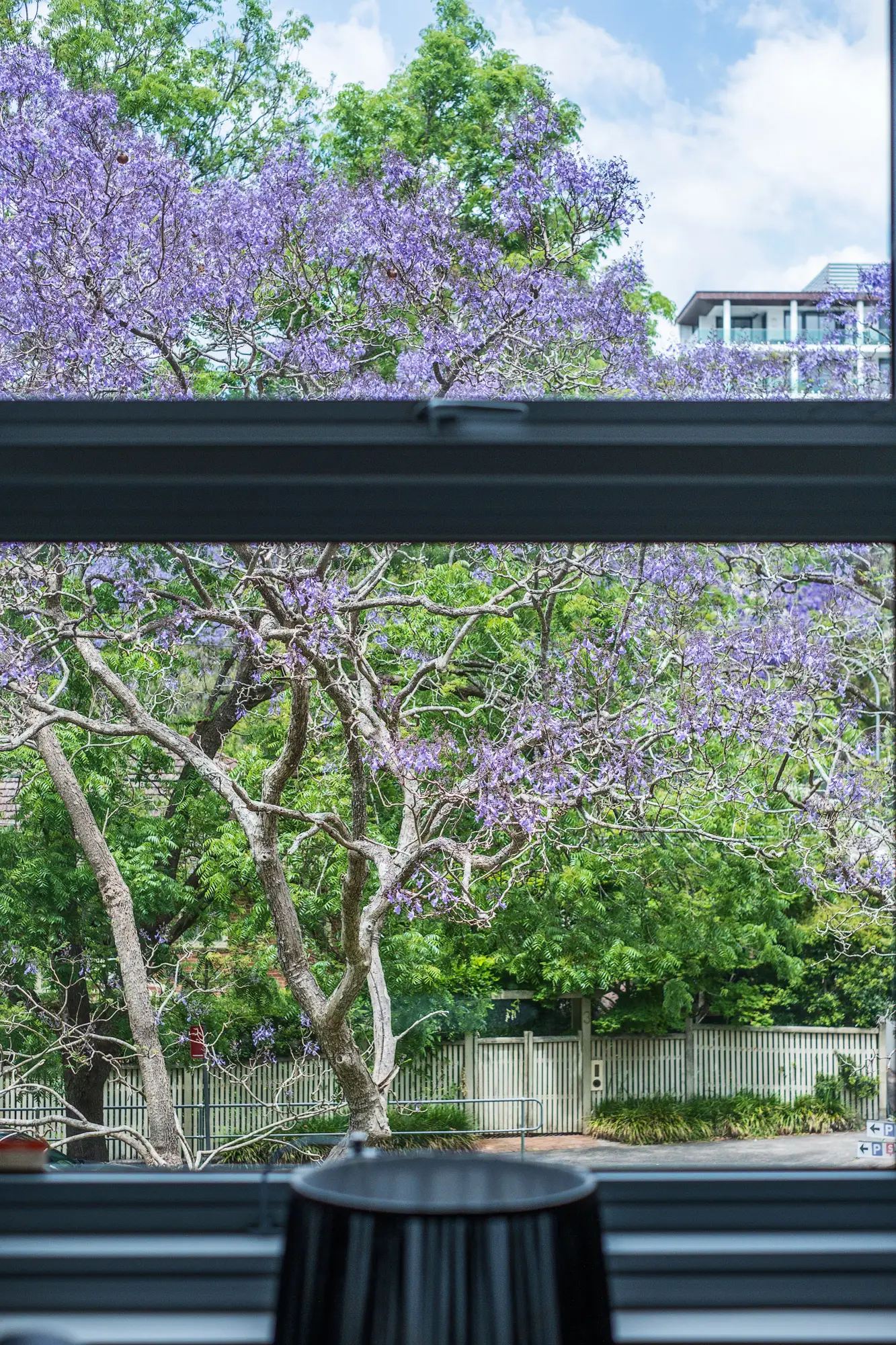 20/2b Havilah Road, Lindfield Sold by Chan Yahl - image 16
