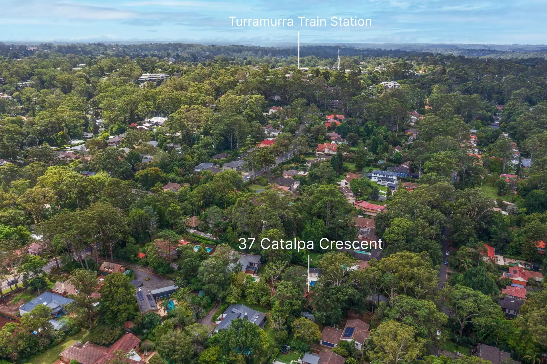 37 Catalpa Crescent, Turramurra Sold by Chan Yahl - image 17