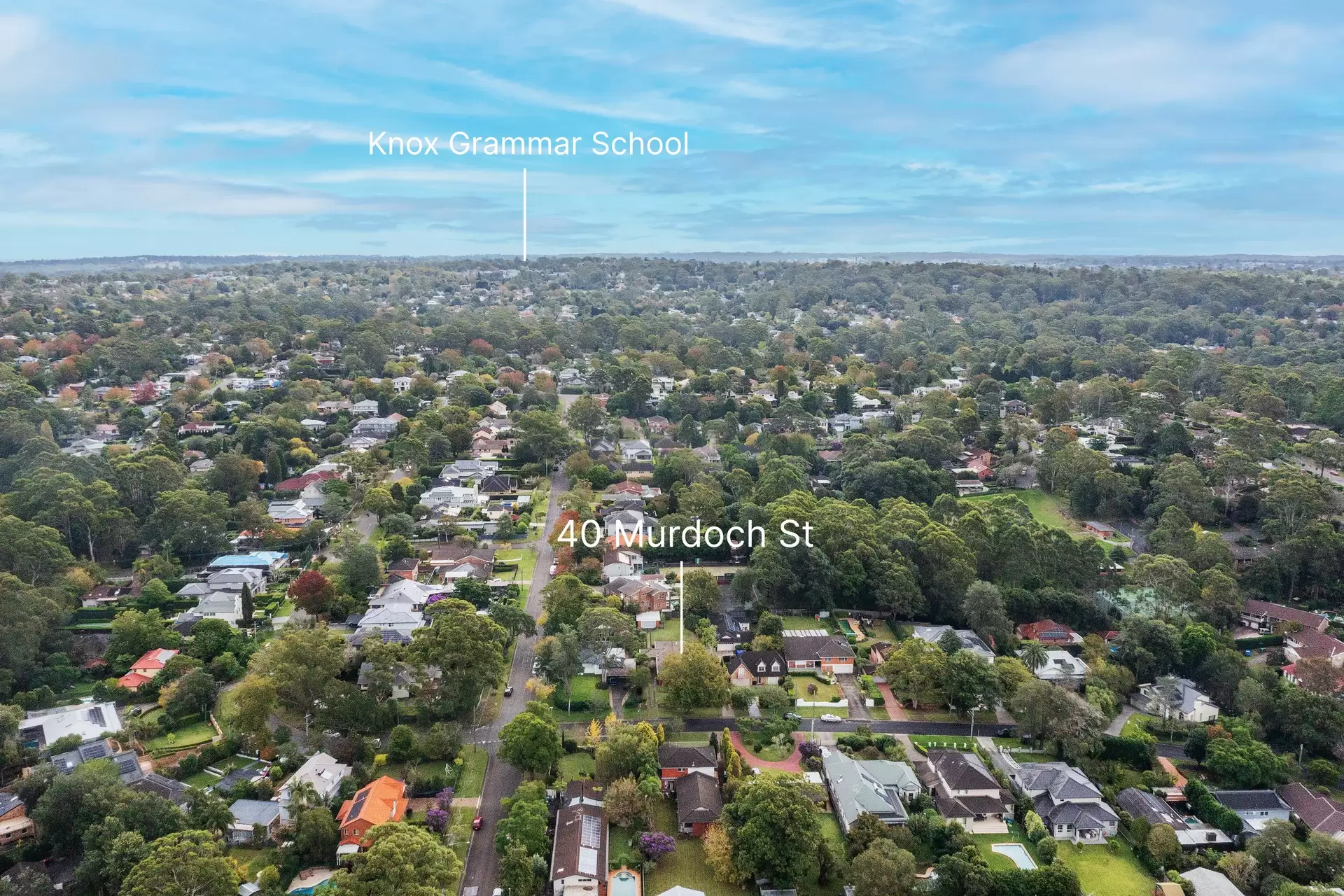 40 Murdoch Street, Turramurra Sold by Chan Yahl - image 8